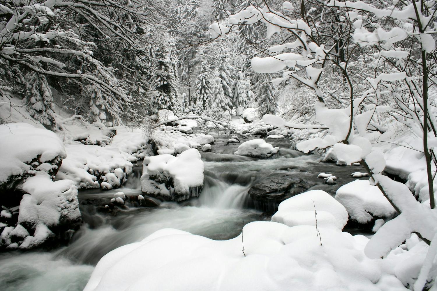 Vattendrag i snölandskap svartvita bilder